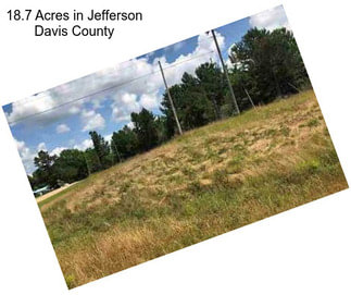18.7 Acres in Jefferson Davis County