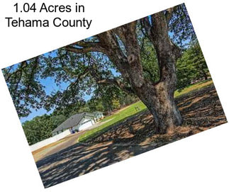 1.04 Acres in Tehama County
