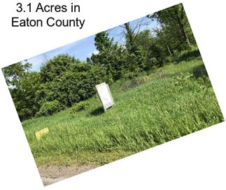 3.1 Acres in Eaton County