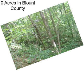 0 Acres in Blount County