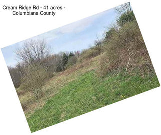 Cream Ridge Rd - 41 acres - Columbiana County