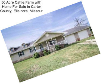 50 Acre Cattle Farm with Home For Sale in Carter County, Ellsinore, Missour