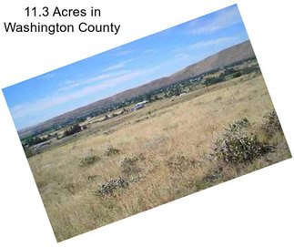11.3 Acres in Washington County