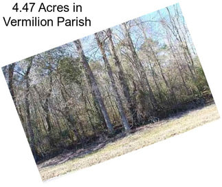 4.47 Acres in Vermilion Parish