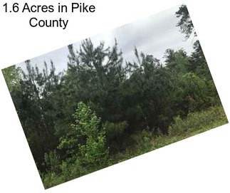 1.6 Acres in Pike County