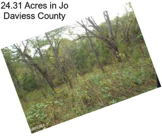 24.31 Acres in Jo Daviess County