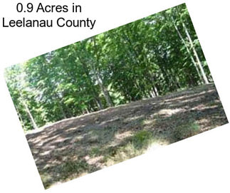 0.9 Acres in Leelanau County