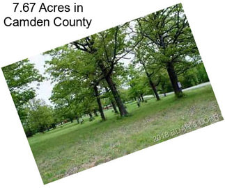 7.67 Acres in Camden County
