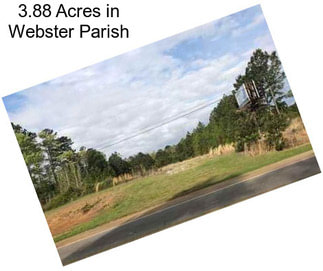 3.88 Acres in Webster Parish