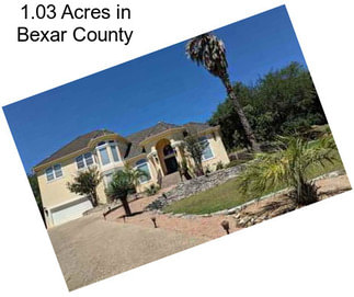 1.03 Acres in Bexar County
