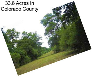 33.8 Acres in Colorado County