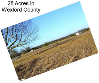 28 Acres in Wexford County