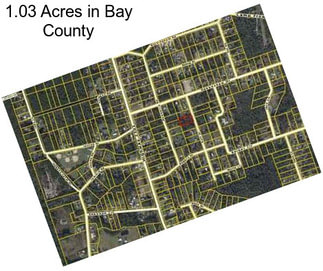 1.03 Acres in Bay County