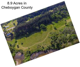 8.9 Acres in Cheboygan County