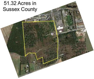 51.32 Acres in Sussex County