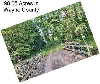 98.05 Acres in Wayne County