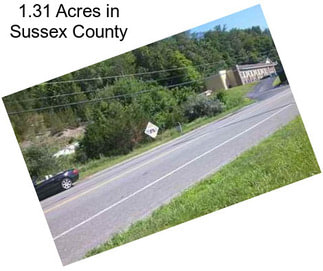 1.31 Acres in Sussex County
