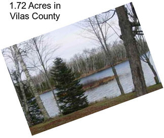 1.72 Acres in Vilas County