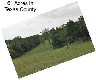61 Acres in Texas County