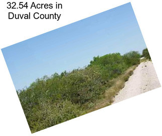 32.54 Acres in Duval County