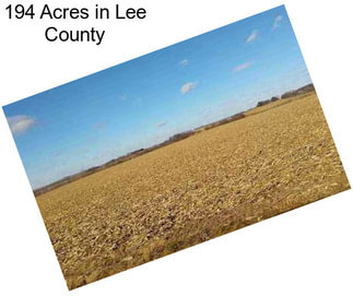 194 Acres in Lee County