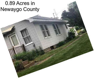 0.89 Acres in Newaygo County