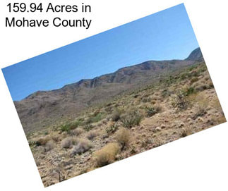 159.94 Acres in Mohave County