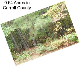 0.64 Acres in Carroll County