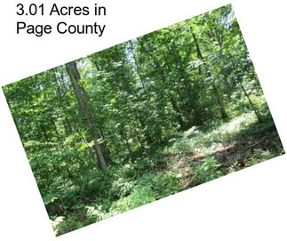 3.01 Acres in Page County