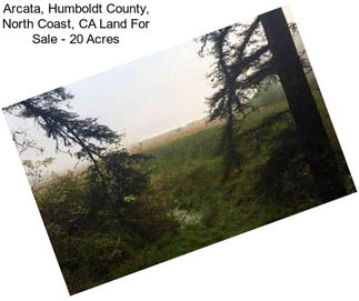 Arcata, Humboldt County, North Coast, CA Land For Sale - 20 Acres