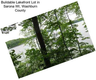 Buildable Lakefront Lot in Sarona WI, Washburn County