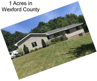 1 Acres in Wexford County