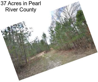 37 Acres in Pearl River County