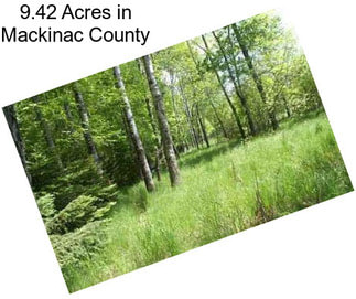 9.42 Acres in Mackinac County