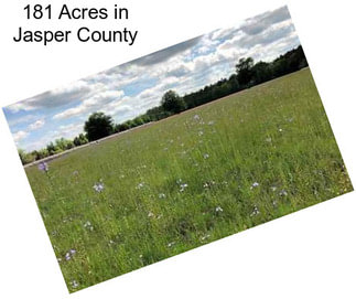 181 Acres in Jasper County