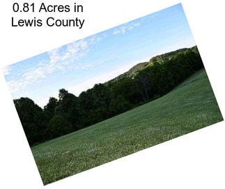 0.81 Acres in Lewis County