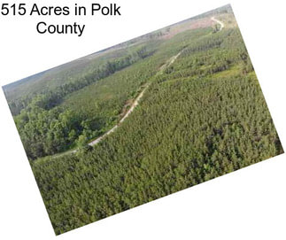 515 Acres in Polk County