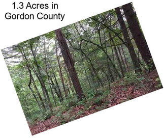 1.3 Acres in Gordon County