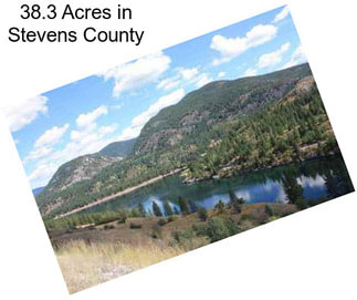 38.3 Acres in Stevens County