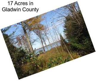 17 Acres in Gladwin County