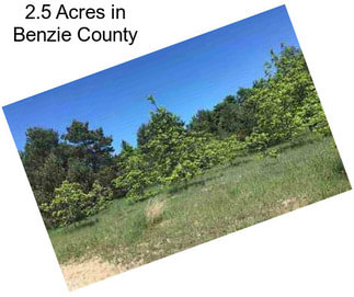 2.5 Acres in Benzie County