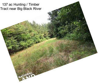 137 ac Hunting / Timber Tract near Big Black River