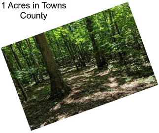 1 Acres in Towns County