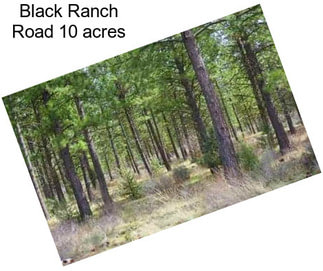 Black Ranch Road 10 acres
