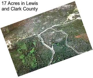 17 Acres in Lewis and Clark County
