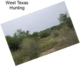 West Texas Hunting