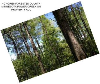 40 ACRES FORESTED DULUTH MINNESOTA POWER CREEK ON PROPERTY ADL