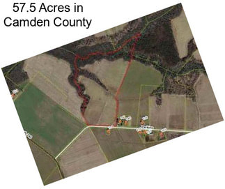 57.5 Acres in Camden County