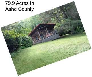 79.9 Acres in Ashe County