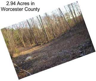 2.94 Acres in Worcester County